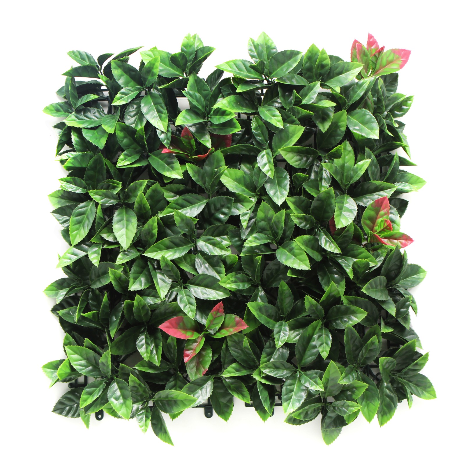 Artificial Green Wall Planks PHOTINIA RED Pack of 6  Rs:5700/-